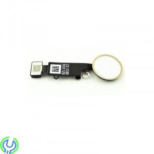 IPhone 7/7 Plus Hemknapp, Roséguld, IPhone 7/7 Plus Hemknapp med Flex - Roséguld, iPhone 7 Plus, , Elgruvan