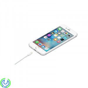 Apple Lightning-kabel 0,5 meter, Apple Lightning kabel - 50 cm, Lightning, , 
