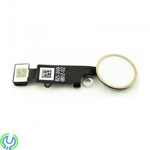 IPhone 7/7 Plus Hemknapp, Guld, IPhone 7/7 Plus Hemknapp med Flex - Guld, iPhone 7, , Elgruvan