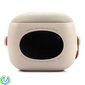 Bluetooth Karaoke Högtalare, HIFI Ljudkvalitet, Bluetooth Karaoke Högtalare – HIFI Ljudkvalitet, Gadget & Leksaker, , Elgruvan